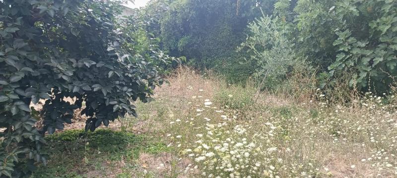 Appartamento, Magione — foto 2 di 5
