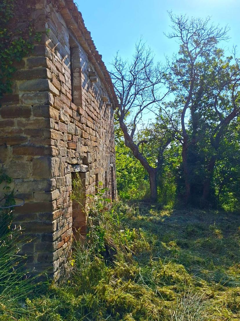 Rustico in Strada Pronviciale 103 Snc, Montelparo — foto 4 di 5