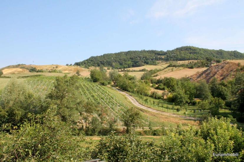 Appartamento in Via per Neviano, Traversetolo — foto 5 di 5