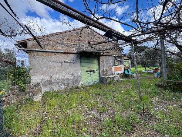 Rustico in Via Colle Pallavicini, Zagarolo — foto 2 di 5