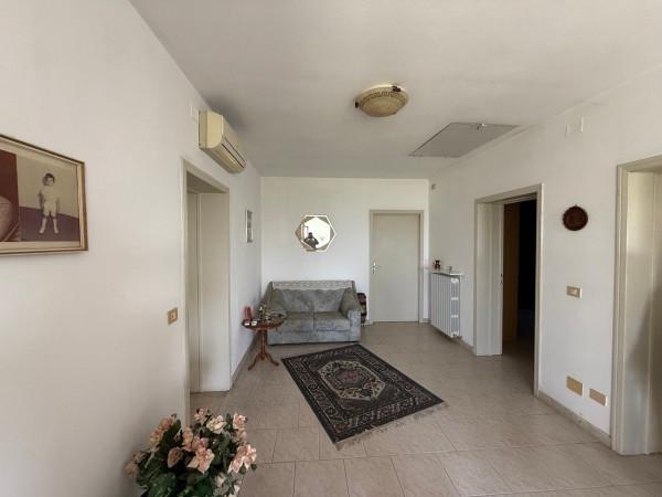 Villa, Luzzara — foto 2 di 5