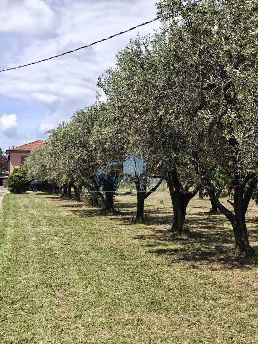 Villa, Sarzana — foto 5 di 5