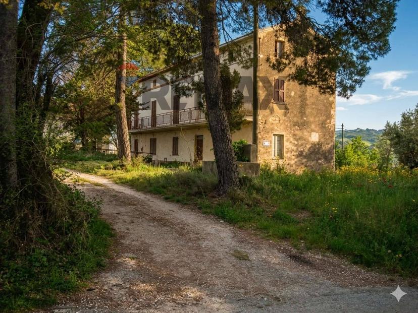 Rustico, Casoli — foto 5 di 5