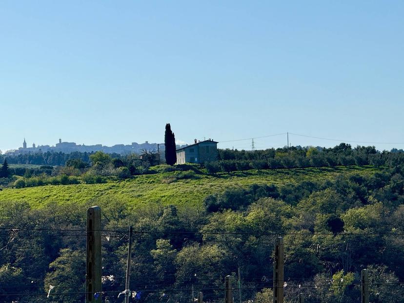 Rustico in Quercia Ferrata, Ripatransone — foto 2 di 5
