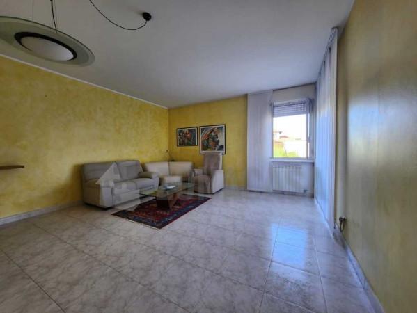 Trilocale in Via Isonzo, Samarate — foto 5 di 5