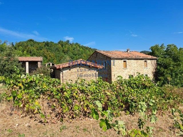 Casa indipendente in Via Fioredola 2, Casola Valsenio — foto 4 di 5