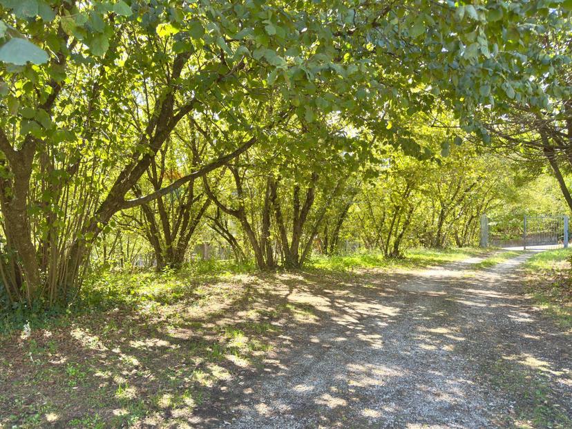 Villa, Avellino — foto 5 di 5
