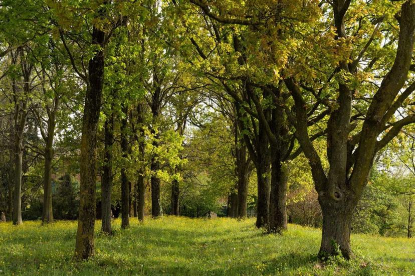 Villa unifamiliare, Maranello — foto 3 di 5