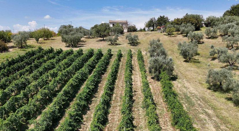 Rustico in Collepietro, Torri in Sabina — foto 4 di 5