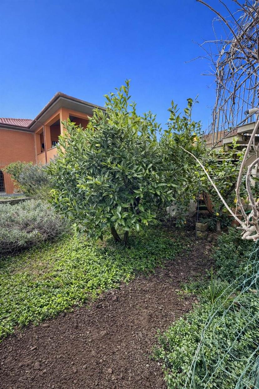 Appartamento, Tuscania — foto 2 di 5