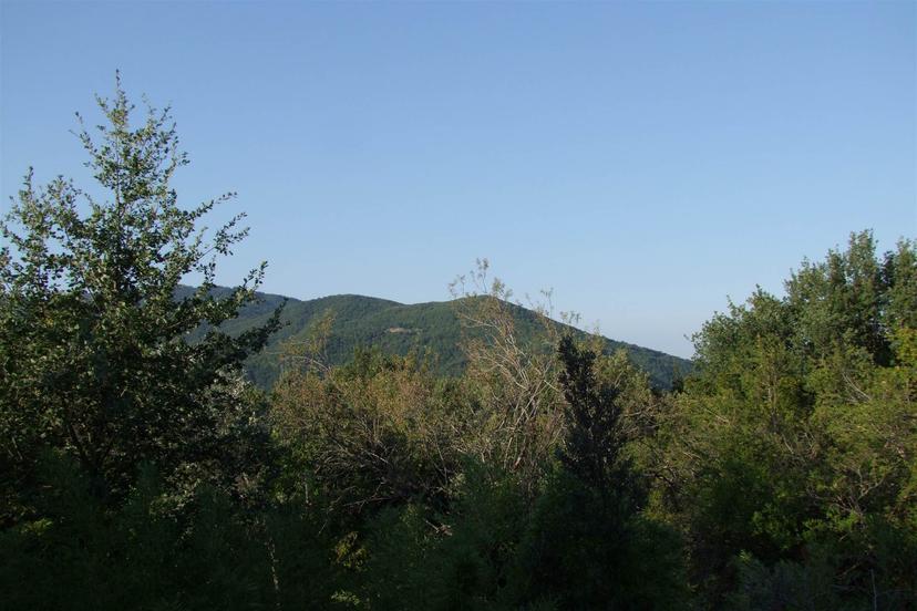 Villa, Londa — foto 4 di 5