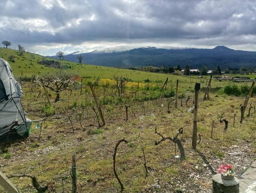 Rustico in Contrada Pignatone Sn, Randazzo — foto 2 di 5