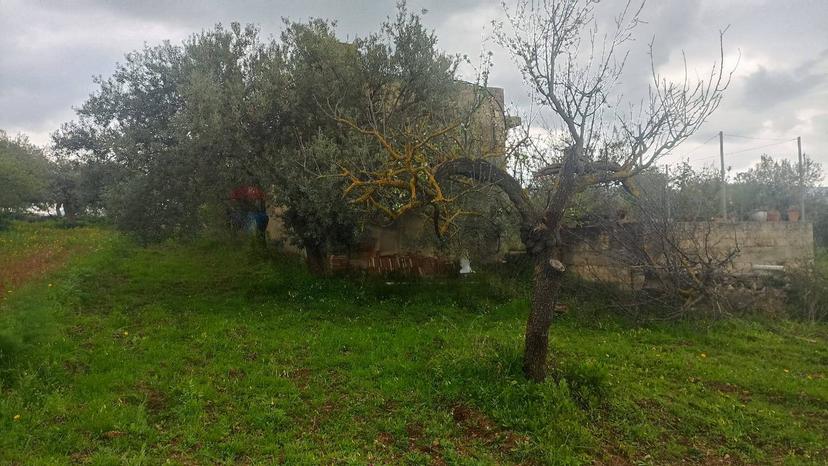 Rustico in C/da  Cirito, Chiaramonte Gulfi — foto 2 di 5