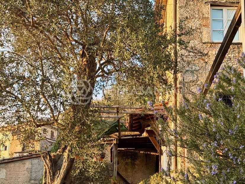 Porzione di casa, Pietrasanta — foto 4 di 5