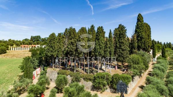 Casale, Torrita di Siena — foto 2 di 5
