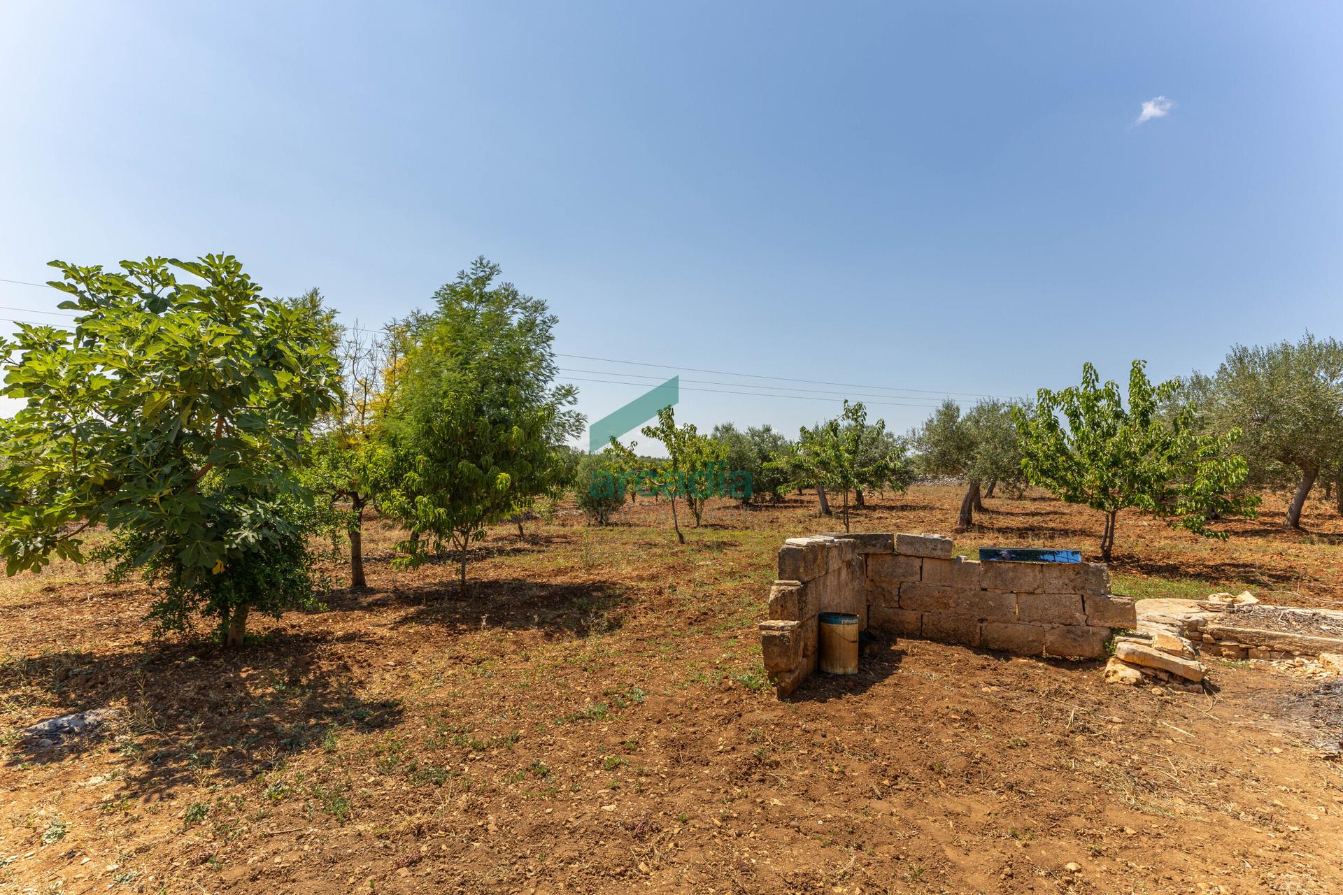 Rustico in Sp32 68, Putignano