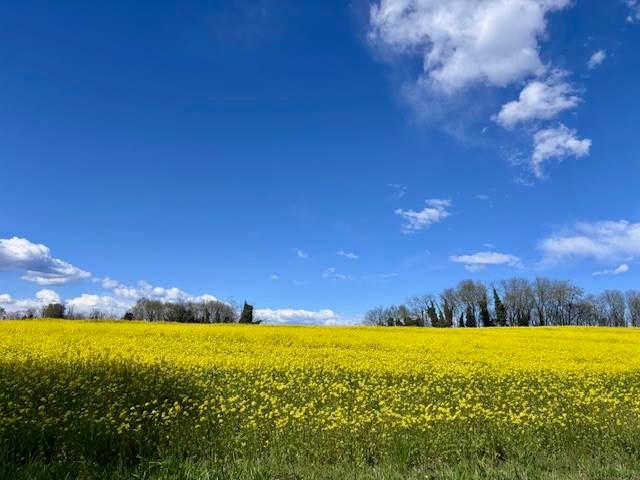 Rustico, Solferino — foto 2 di 5