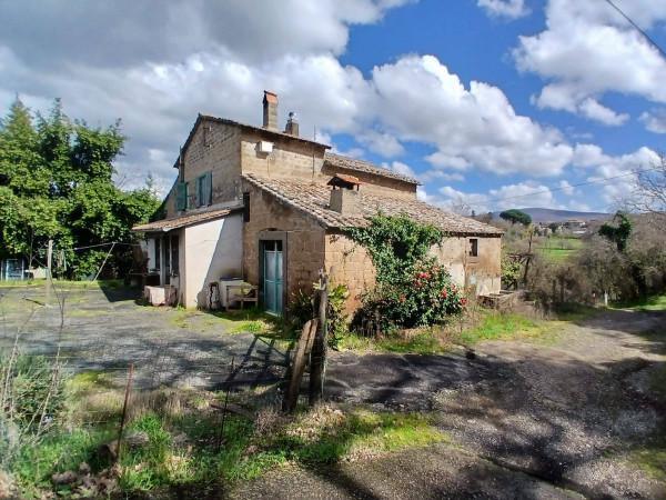 Casale in Strada Provinciale Mazzocchio, Vetralla — foto 5 di 5