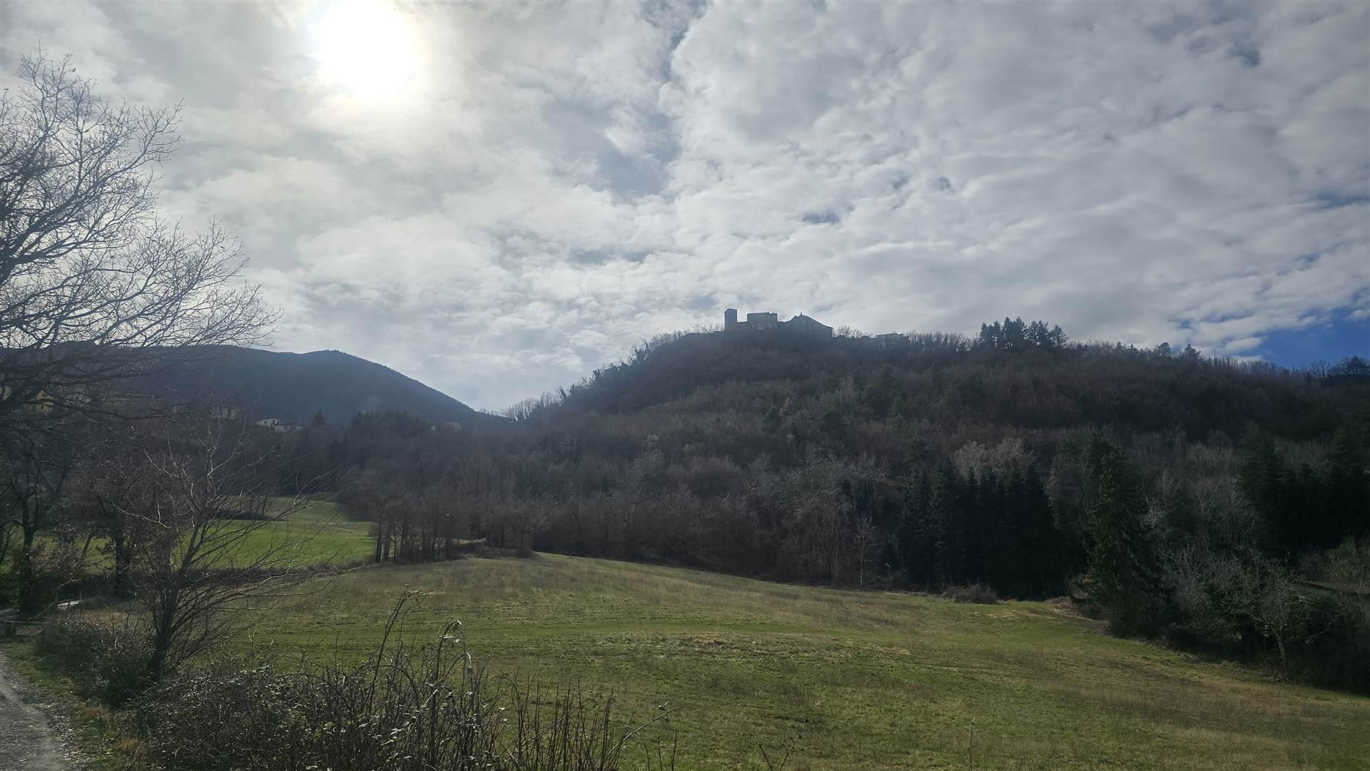 Rustico, Montecreto