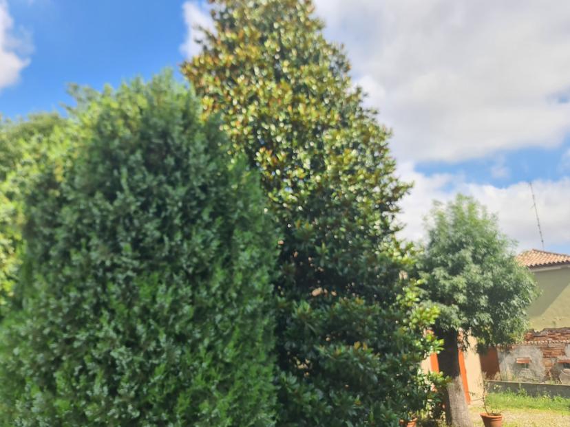 Villa in Via Giovanni Venturini, Lagosanto — foto 5 di 5