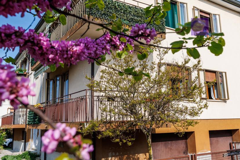 Trilocale, Battaglia Terme — foto 4 di 5