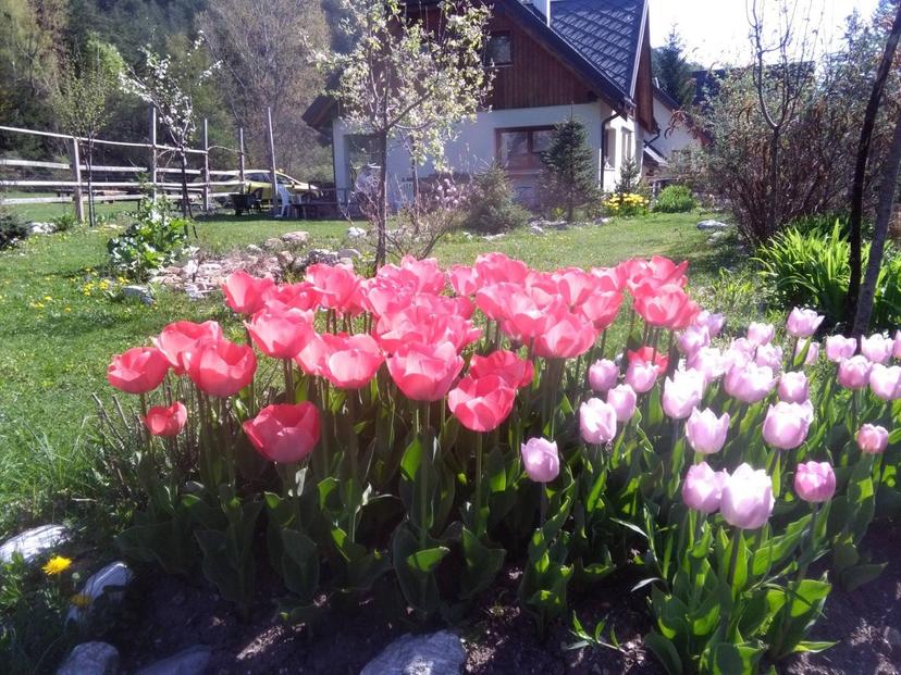 Villa in Via Rio Bianco, Malborghetto Valbruna — foto 5 di 5