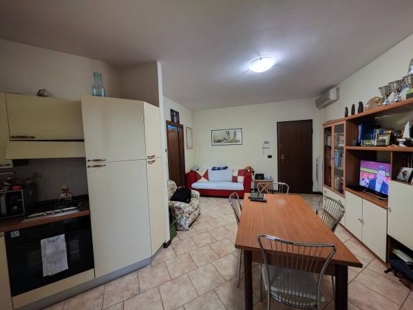 Trilocale in Via Sinistra Guerro 49, Castelvetro di Modena — foto 3 di 5