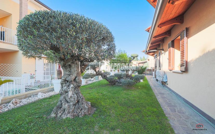 Casa indipendente in Via del Carro, Misano Adriatico — foto 3 di 5