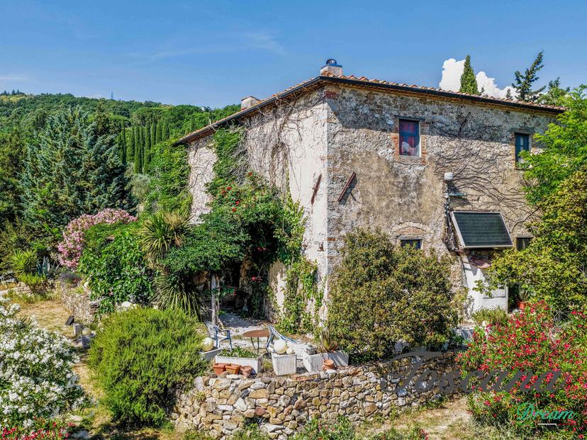 Rustico, Monterotondo Marittimo