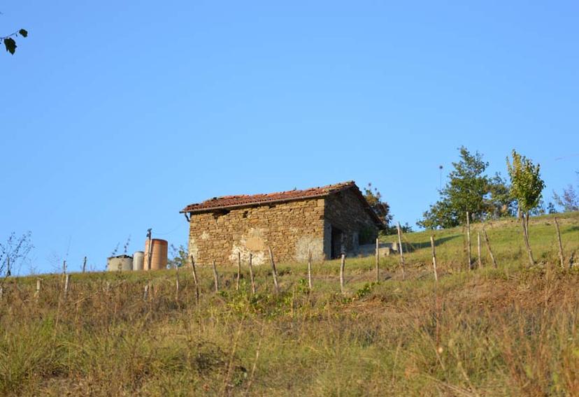 Rustico, Piana Crixia — foto 3 di 5