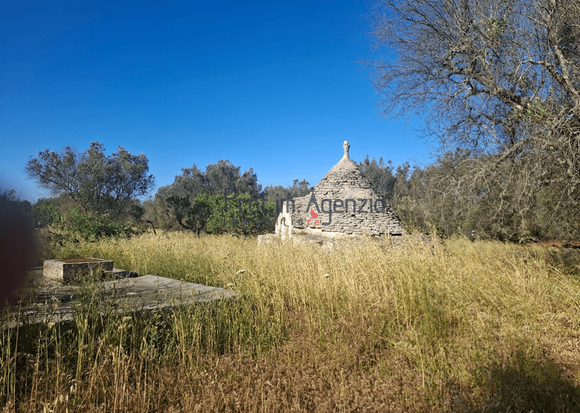 Rustico, San Vito dei Normanni — foto 2 di 5