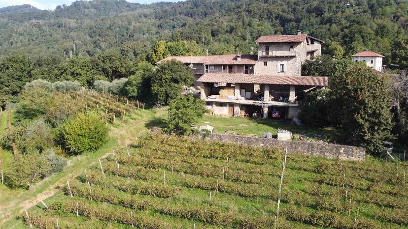 Rustico, Sotto il Monte Giovanni XXIII — foto 2 di 5