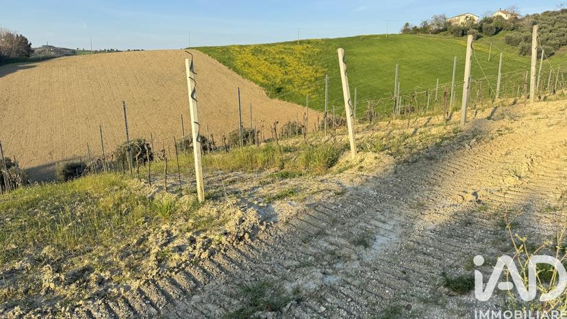 Villa in Strada Via Sibilla, Acquaviva Picena — foto 2 di 5