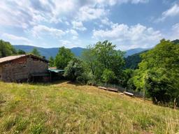 Rustico, Pertica Bassa