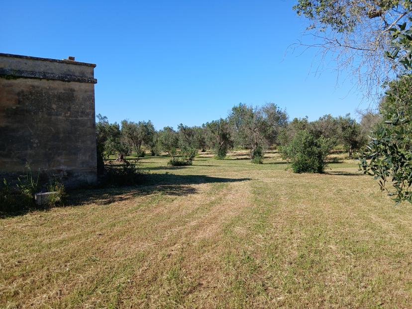Casale in C.da Grottole, Latiano — foto 4 di 5