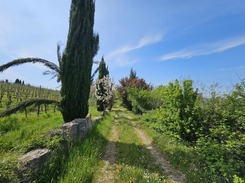 Rustico in Via Sassoni, Cinto Euganeo — foto 5 di 5