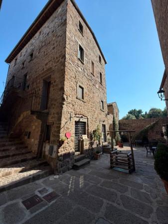 Bilocale in Via Belvedere, Bassano in Teverina — foto 5 di 5