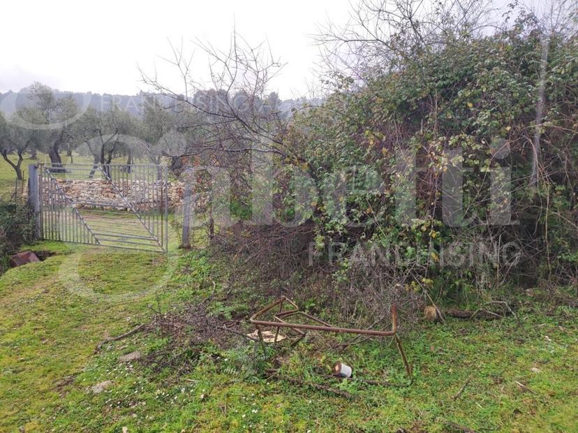 Rustico in Strada Vicinale di Valle Coppa 2, Vieste — foto 2 di 5