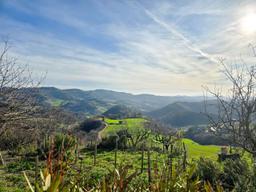 Casa indipendente in Ca' di Stefano, Frontino