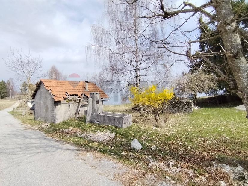 Rustico, Borgo Valbelluna — foto 5 di 5