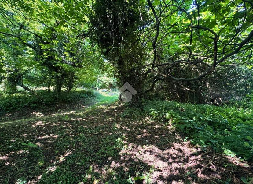 Rustico in Via Costavernese 34, Colceresa — foto 2 di 5