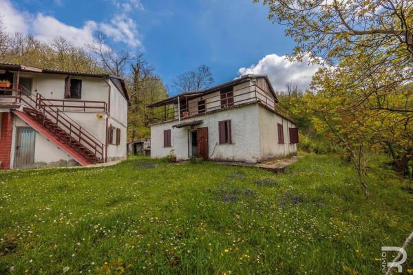 Rustico in Via Provinciale, Careggine — foto 4 di 5