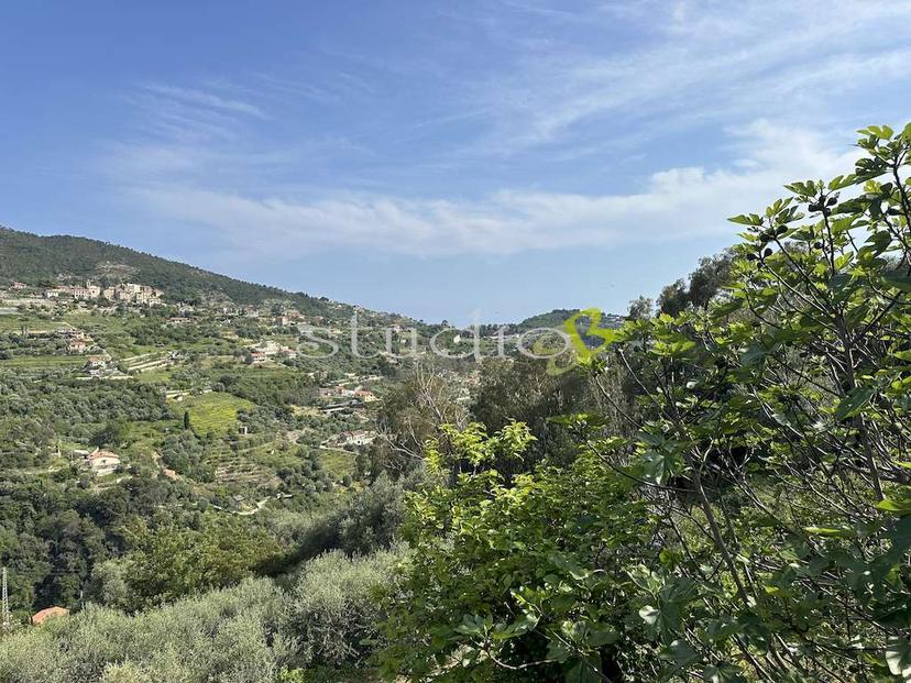 Villa unifamiliare in Via San Sebastiano Snc, Vallebona — foto 4 di 5