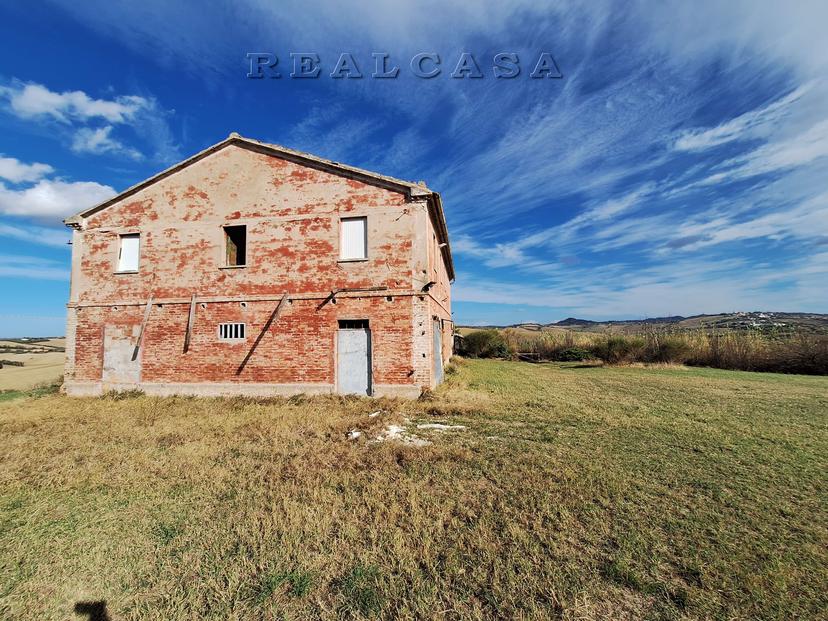 Rustico, Polverigi — foto 3 di 5