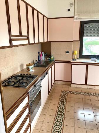 Attico, Misano Adriatico — foto 3 di 5