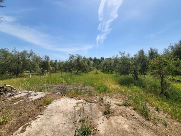 Appartamento in villa in Viale delle Rose, Andria — foto 5 di 5