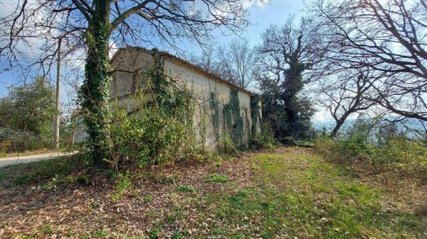 Casa colonica, Mondavio — foto 2 di 4