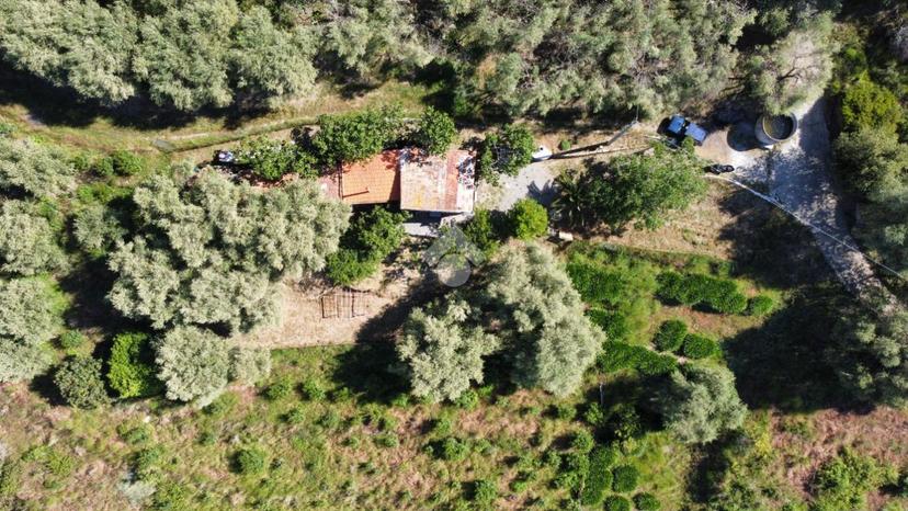 Rustico in Località Villa, Perinaldo — foto 4 di 5