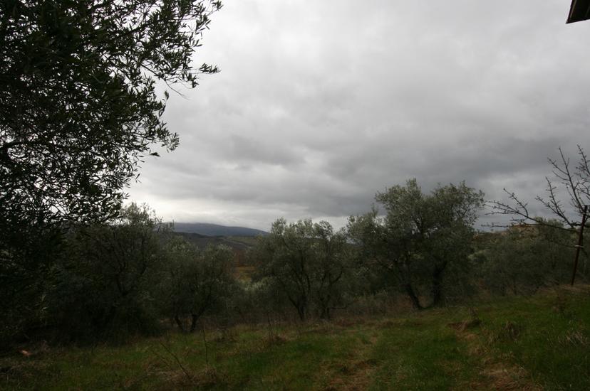 Casa indipendente, Castiglione d'Orcia — foto 3 di 5