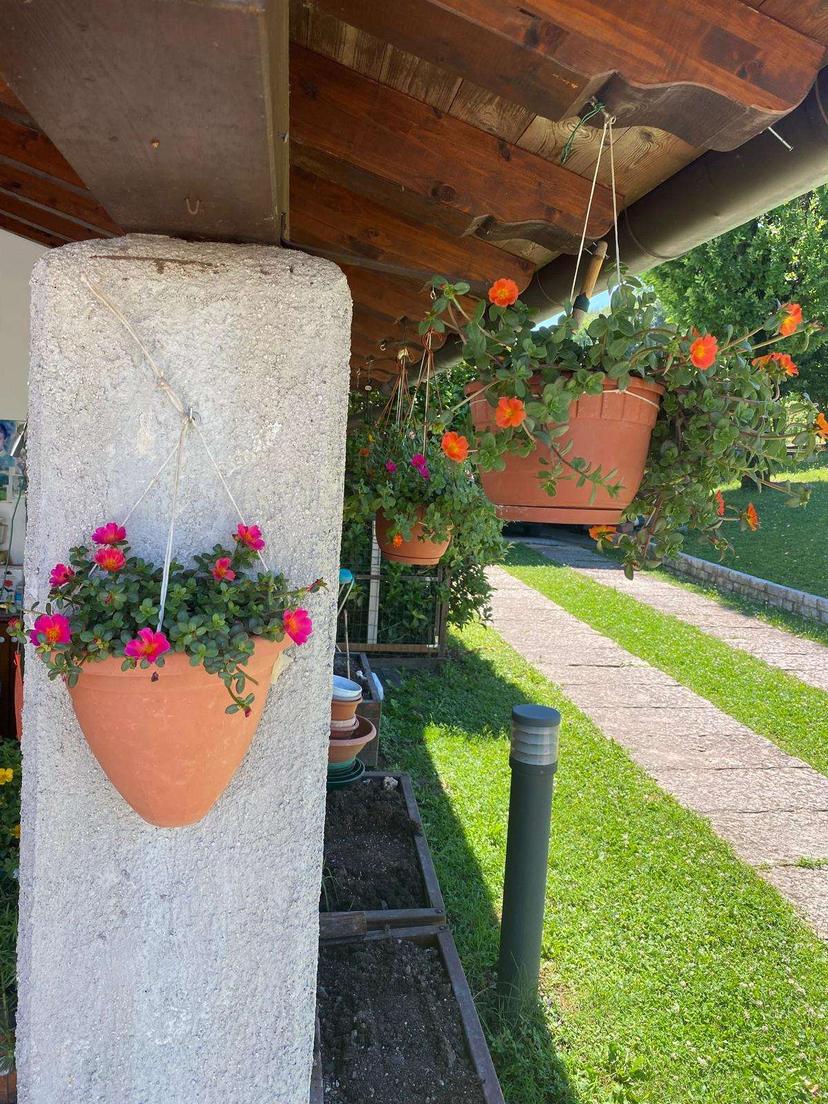 Villa bifamiliare, Conegliano — foto 5 di 5